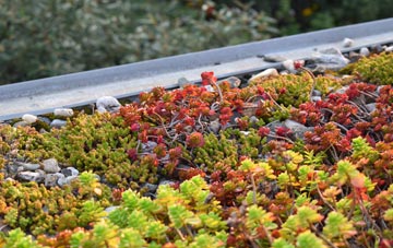 the cost of Whittlesey green roof installation