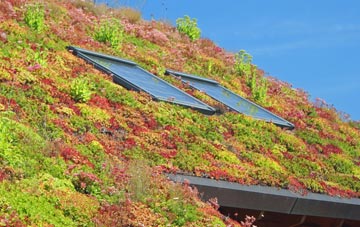Whittlesey living roof systems