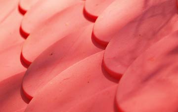 Whittlesey plastic roof costs