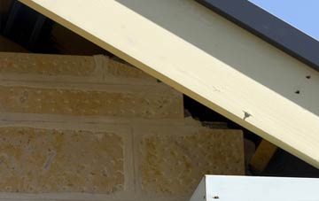 soffit repair Whittlesey