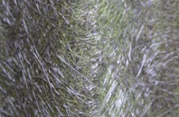 Whittlesey fibreglass roof work